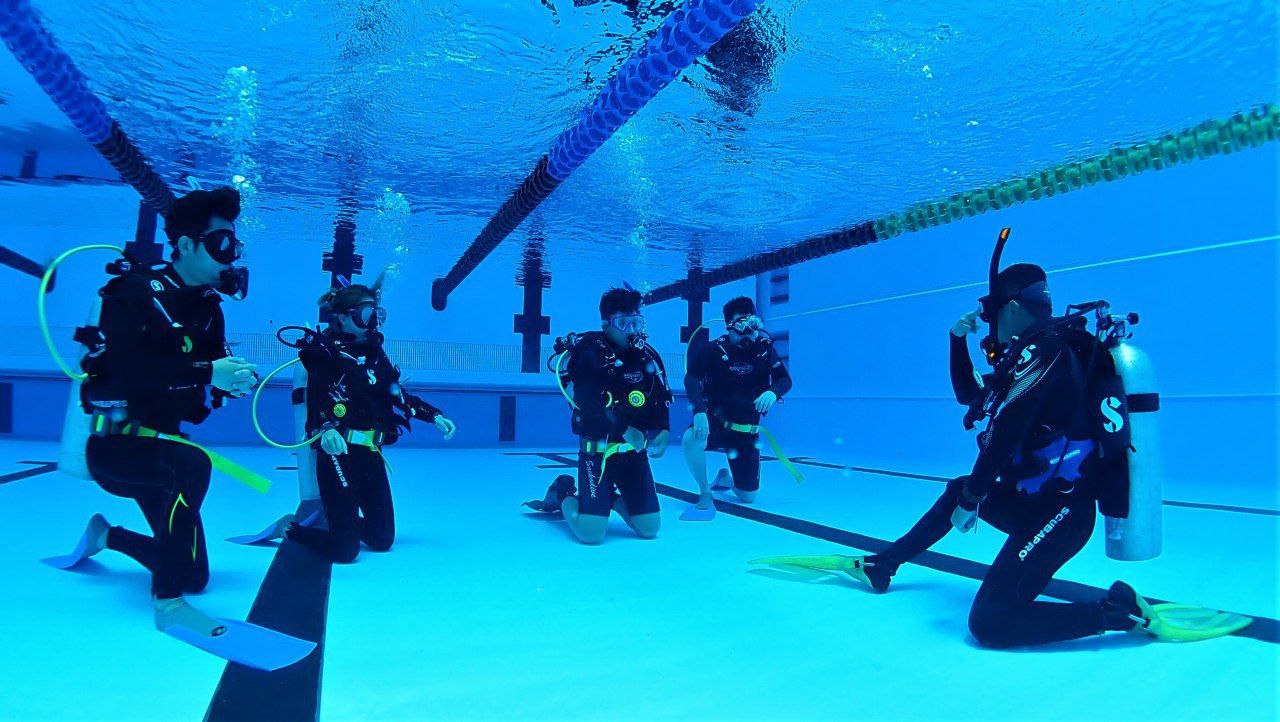 Our Dive Team or Location