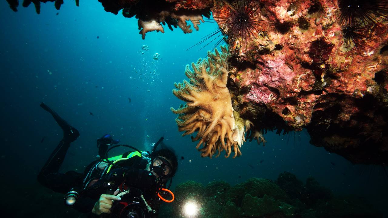 Drift Diver Specialty Course